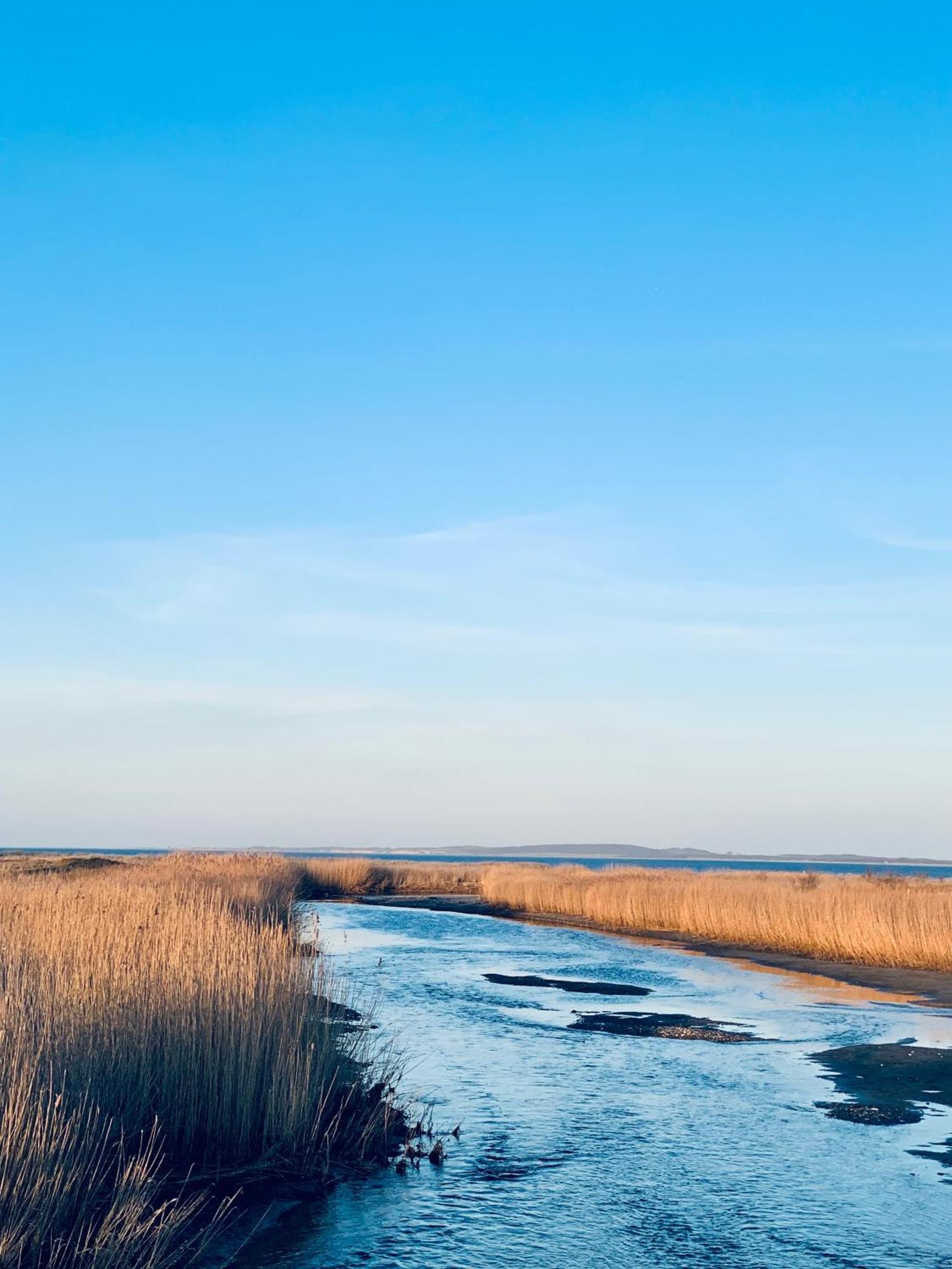 Dein Haus Am Meer Mit Sauna Vila Blekendorf Exterior foto