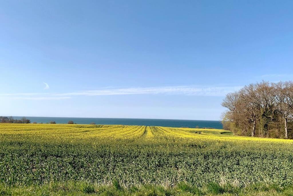 Dein Haus Am Meer Mit Sauna Vila Blekendorf Exterior foto